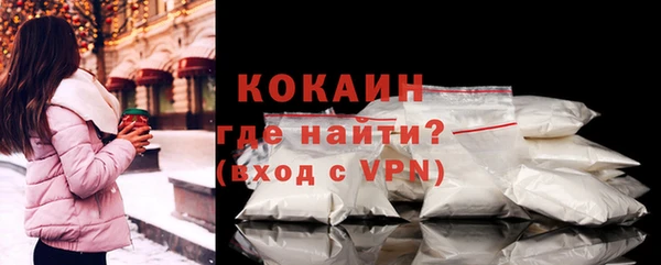 стаф Туринск