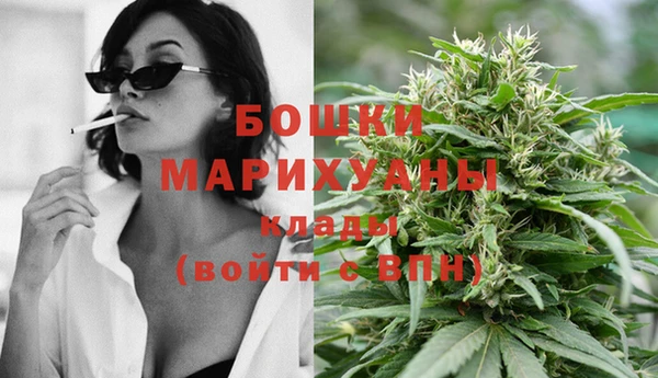 бошки Горнозаводск