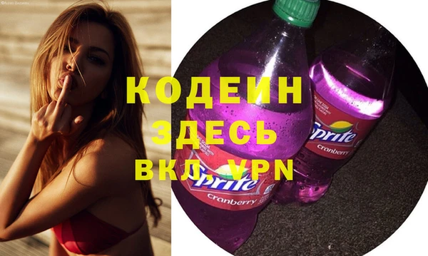 стаф Туринск
