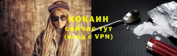 эйфоретик Вяземский