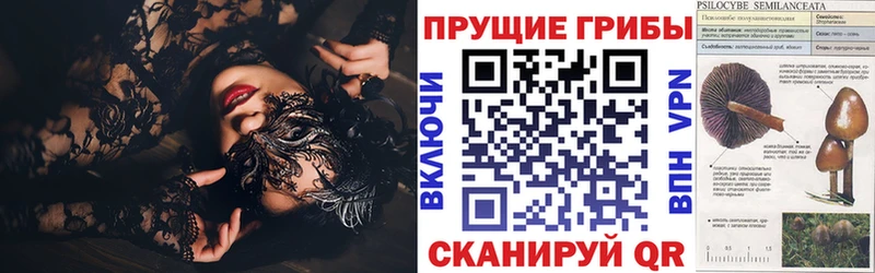 Купить  Пестово  Галлюциногенные грибы прущие грибы 